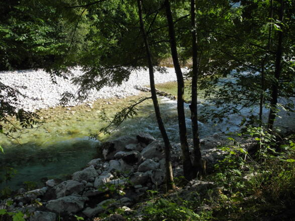 Das reine und warme Wasser der Ischl lädt im Sommer zum Baden ein.