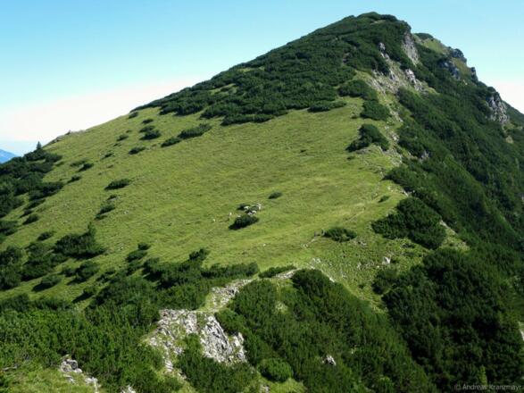 Kirchdorf_Feldberg_Wilder Kaiser