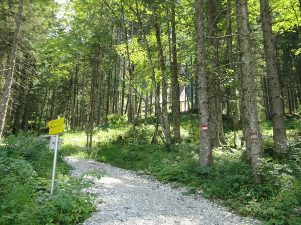 Hat man beim Abstieg eine Asphaltstraße erreicht, kann man links zwischen den Bäumen eine Bergkapelle erkennen.