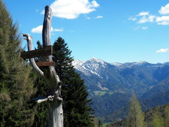 Rieseralm 1270m mit Wegweiser Filzmoseralm