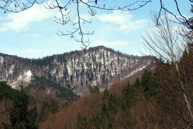 Angerlgupf 1.185m von Osten