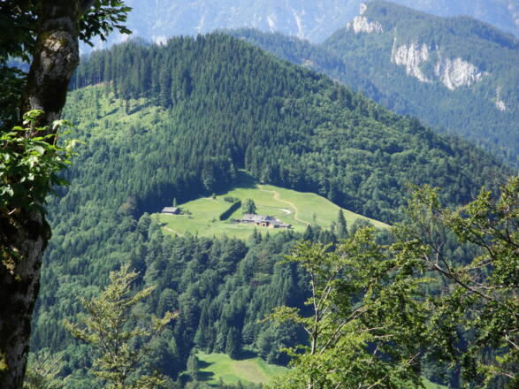 Die Hoisenradalm mit der bewaldeten Kolowratshöhe