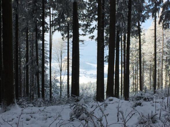 Sauwald - Jagabildstock