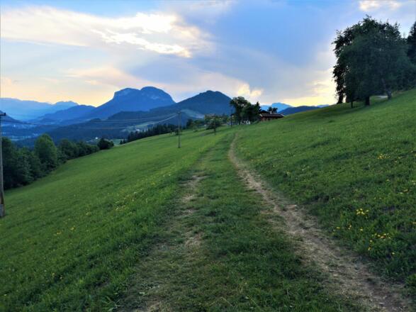 Scheffau_Laufrunde Jägerwirt-Schießling_Wilder Kaiser