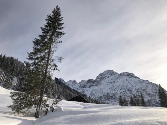 Winterwanderweg im Bärgunttal