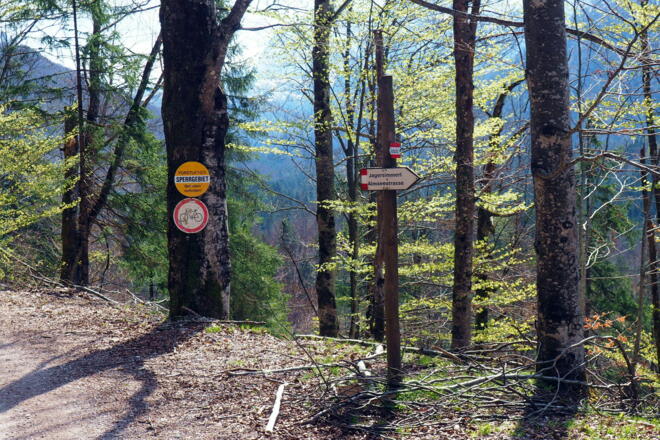 640m Abstieg von der Forststraße rechts