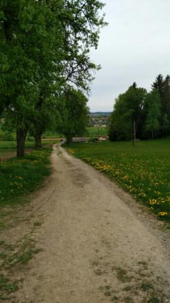 Am Rückweg zum Parkplatz