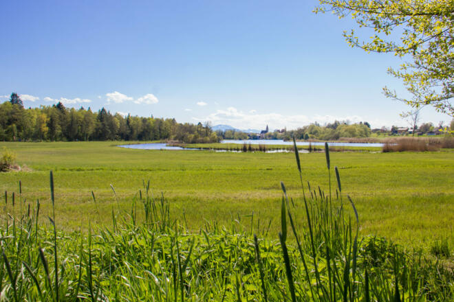 Blick von Stöffling auf Seebruck