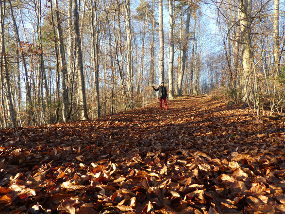 Langbürgnersee im Herbst