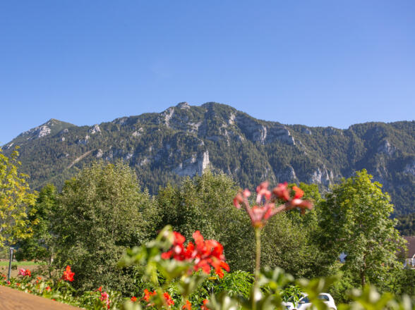Blick auf den Gamskogel