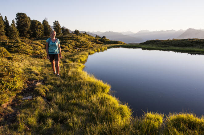 Feldringer Almböden