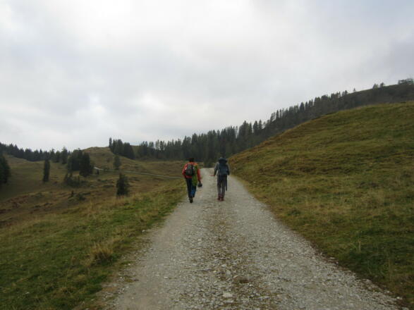 flacher und kurzer Zustieg auf der Forststraße