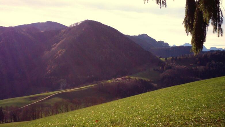 Kruckenbrettl vom Kaiblinger Kogel