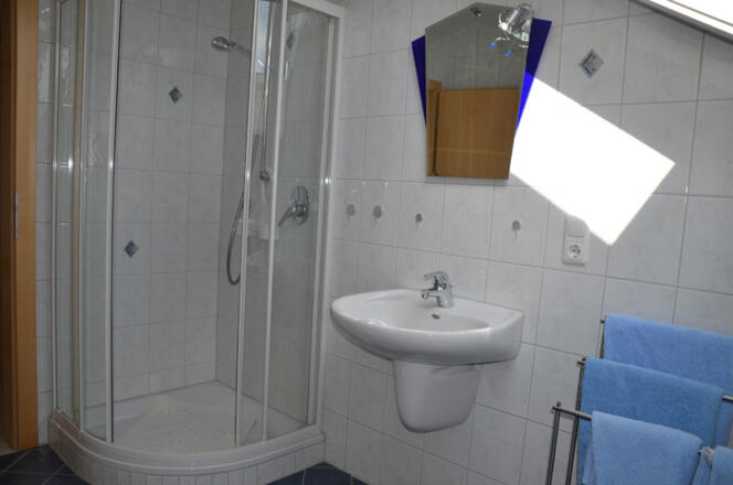 Badezimmer mit Dusche
