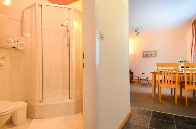 haus-strutzenberger-apartment-3-shower-room-and-living-room