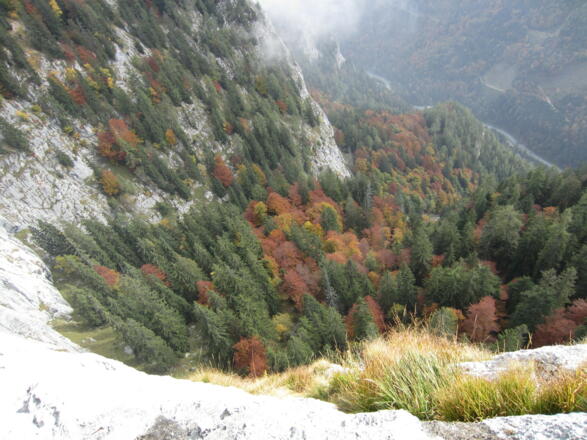 schöne Tiefblicke und tolle Farben im Herbst