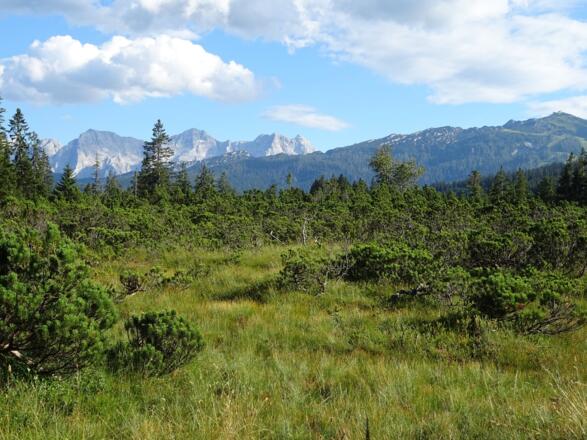 Die Steinplattenrunde vom Salzburger Saalachtal ausgehend