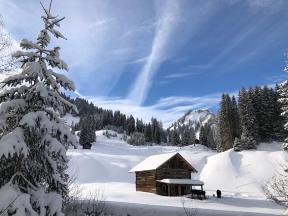 Stall im Bärgunttal