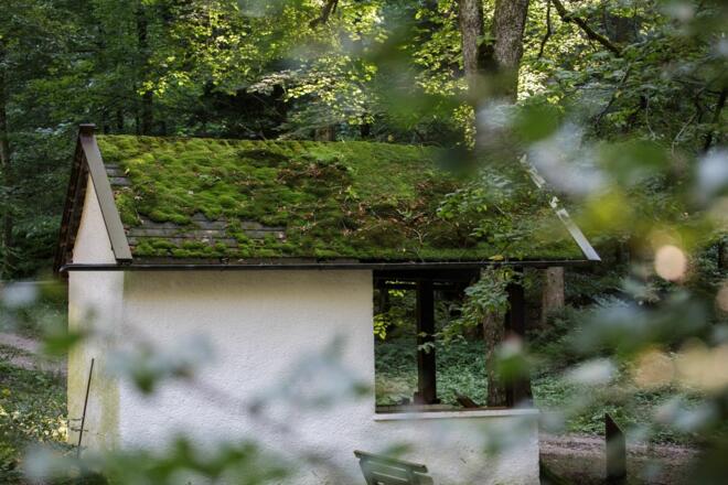 Dickichtkapelle Wandern Stadtberg Kraftplatz