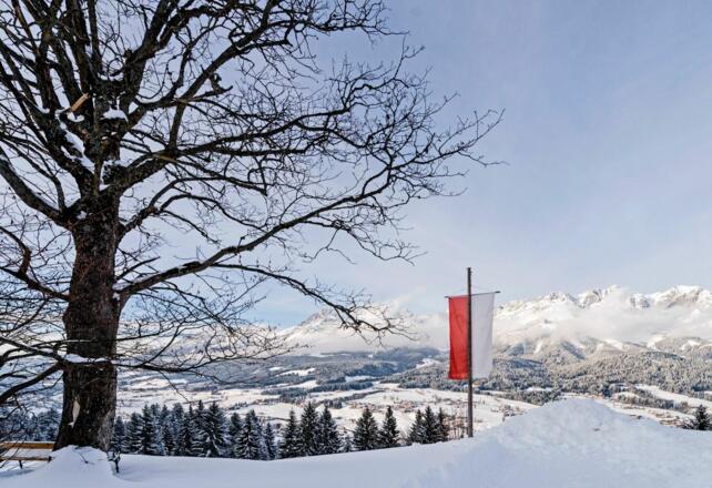 Going_Hollenauer Kreuz_Winterwanderweg_Wilder Kaiser