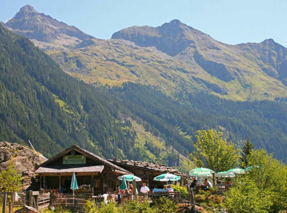 Obere Gfölleralm, Untertal - links im Hintergrund die Hochwildstelle