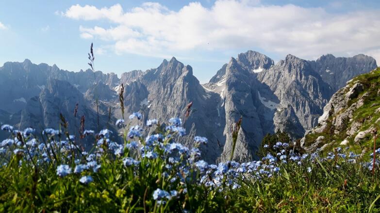 Kirchdorf_Feldberg_Blick in Steinerne Rinne_Wilder Kaiser