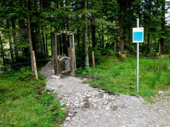 Scheffau_Rehbachklamm_Wilder Kaiser