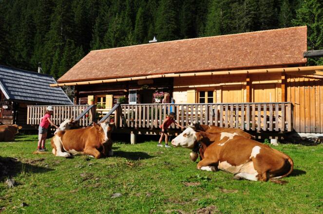 Berallerhütte bei der Kotalm