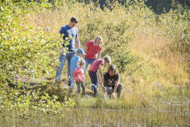 Going_Moor&amp;More_Wilder Kaiser