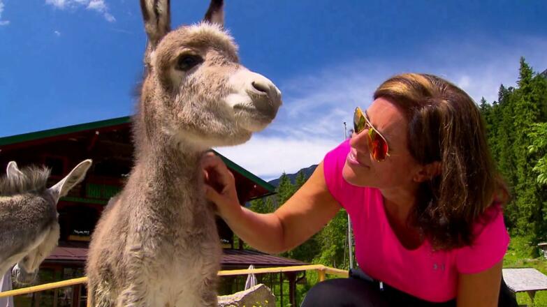 Das Kaisertal wird vorgestellt