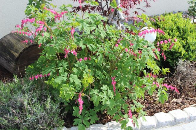 Frühjahrsimpressione