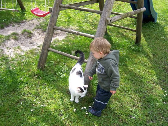 Kind mit Katze