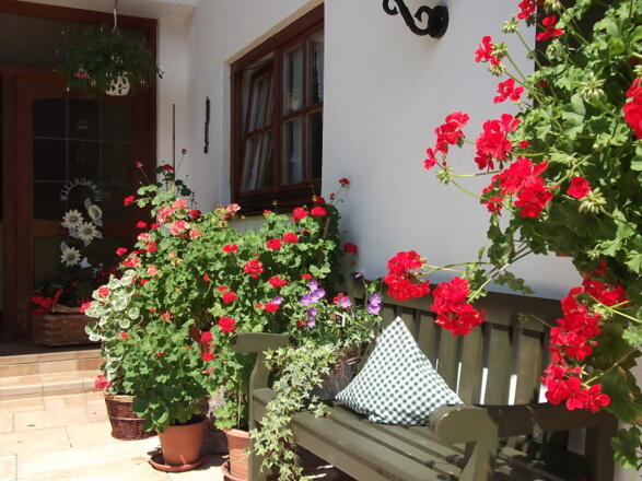 &quot;unser Hausbankl&quot;