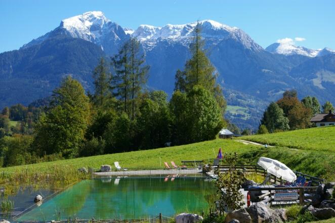 Schwimmteich mit Bergblick