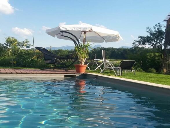 Naturpool Liegewiese