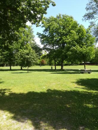 Liegewiese am nahegelegenen Simssee