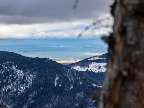 Spotlicht am Chiemsee.