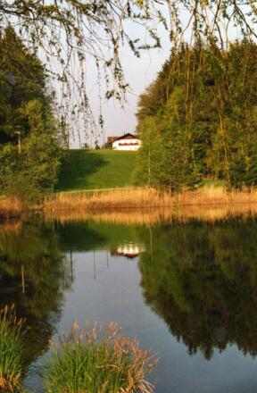 Am Buchsee