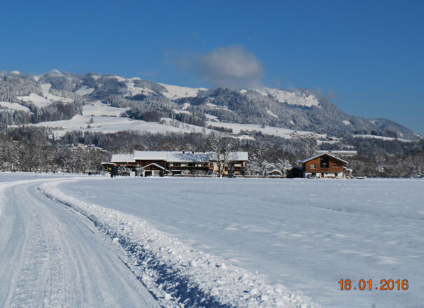 Absolut sonnige Lage