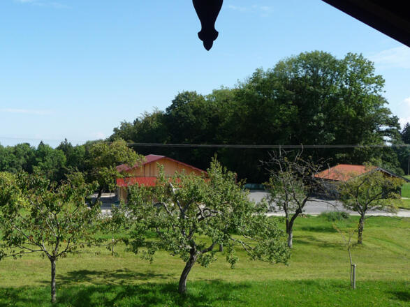 Aussicht auf den Obstgarten
