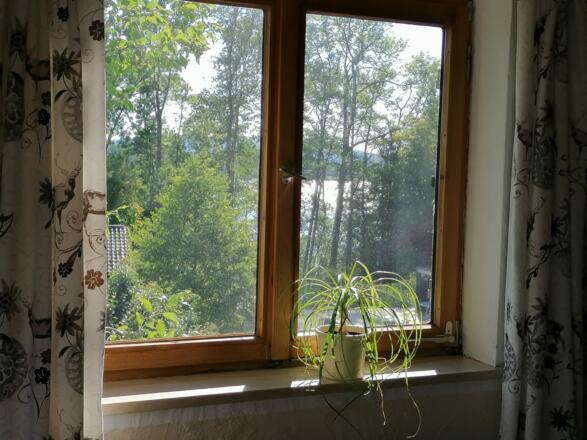 Fensterblick auf See