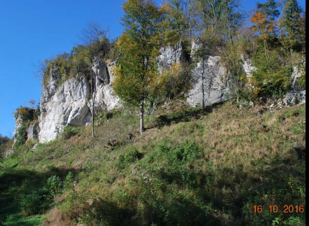 Wanderweg zum Schloßberg