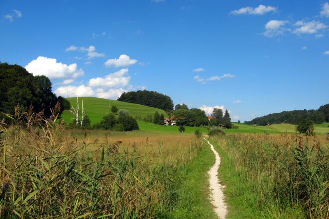 Spazierweg Bärnsee