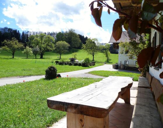 Der Freisitz mit Garten vorm Ferienhaus