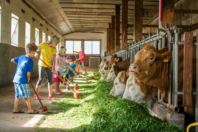 Bambini Stalldiplom am Esterer Hof