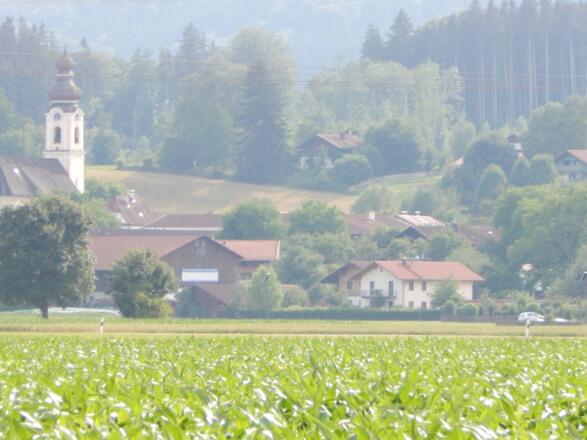 Blick Richtung Berbling