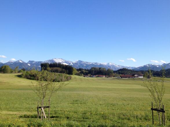 Umgebung Berge Munzingerhof