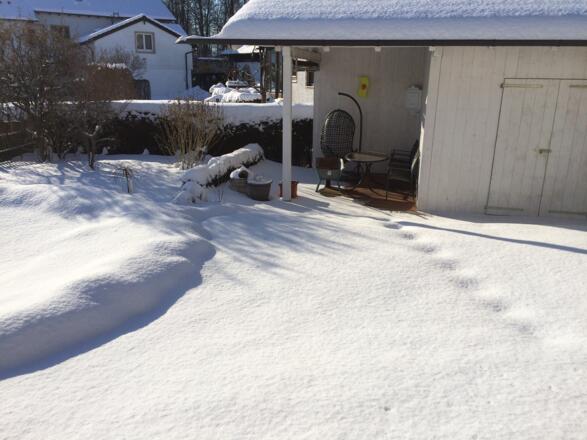 Schneebild von Teich und Garten