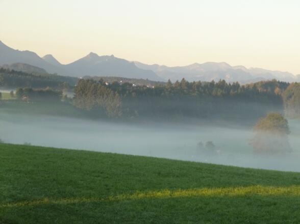 Nebel am Morgen