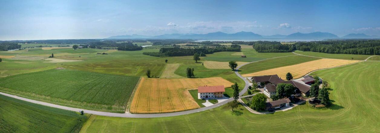 Hausansicht Luftaufnahme